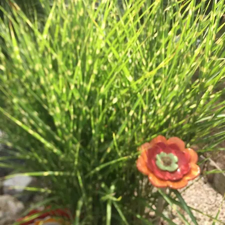 3 Pieces Dans Maison En Rez-de-jardin Peymeinade